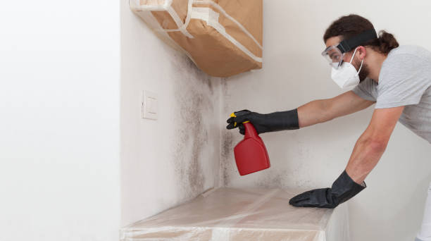 Professional Crawl Space Mold Remediation technician working in Long Beach, NY